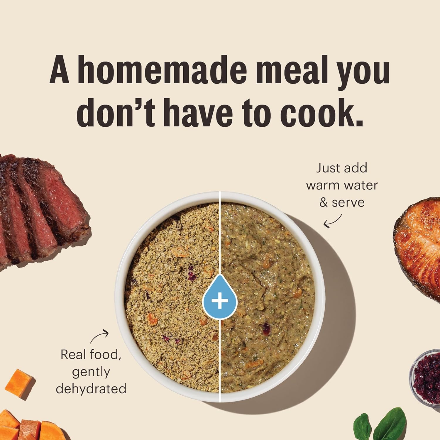 The Honest Kitchen Human Grade Wholemade™ Dehydrated Dog Food, Grain Free Chicken, 10 lb (makes 40lbs) - Image 5