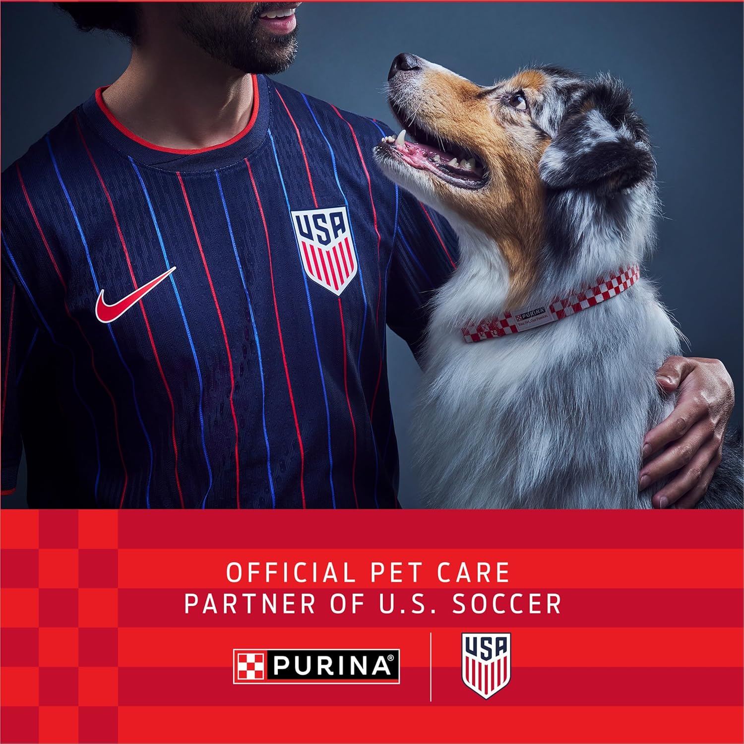 Purina ONE Natural, Sensitive Stomach Dry Dog Food, +Plus Skin & Coat Formula - 31.1 lb. Bag - Image 3