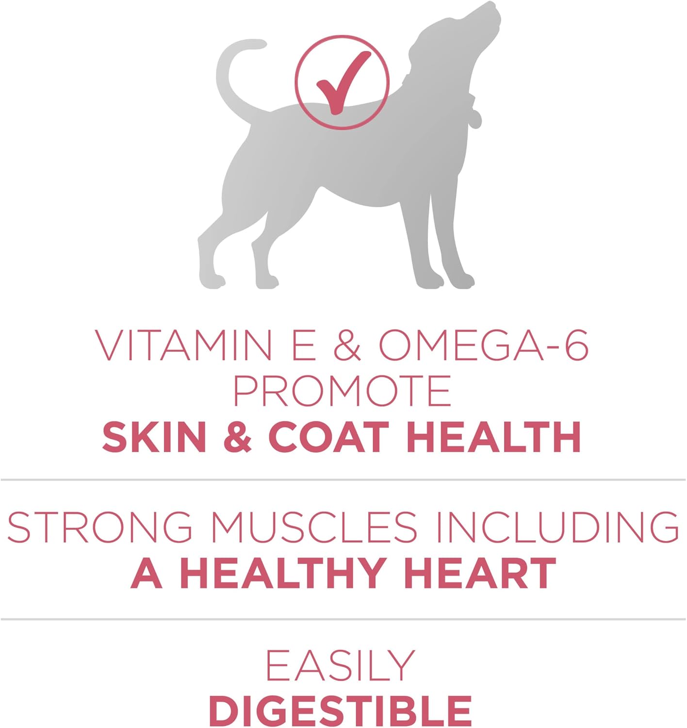Purina ONE Natural, Sensitive Stomach Dry Dog Food, +Plus Skin & Coat Formula - 31.1 lb. Bag - Image 5