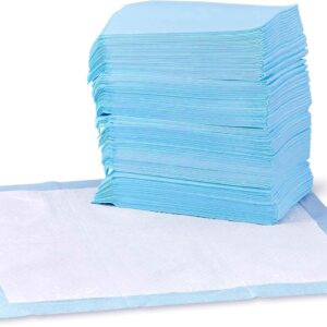 Amazon Basics Leak-Proof Dog and Puppy Potty Training Pee Pads with Quick-Dry 5-Layer Super Absorbent Design, Regular Size 22 x 22 inch, Blue & White, 100 Count
