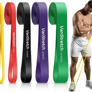 Resistance Bands for Working Out,5-Level Elastic Pull Up Assistance Bands Set for Men & Women,Exercise Bands for Home Workouts,Fitness,Training & Physical Therapy