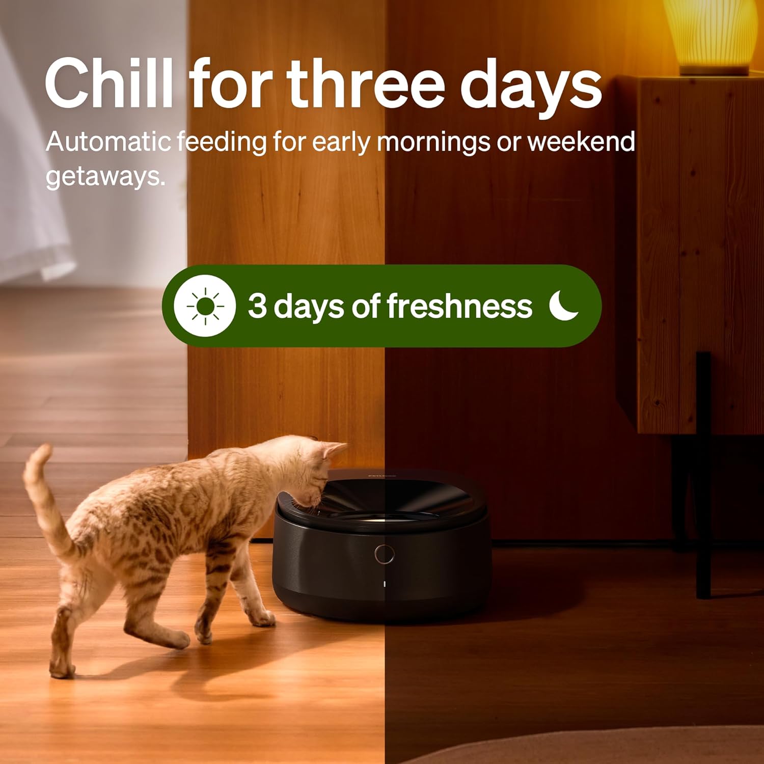 PETLIBRO Automatic Wet Food Cat Feeder 2026 New Version with Semiconductor Cooling, Refrigerated 3 Fresh Meals in 3 Days, App-Controlled Pet Food Dispenser, Stainless Steel Bowl, Easy to Clean - Image 2