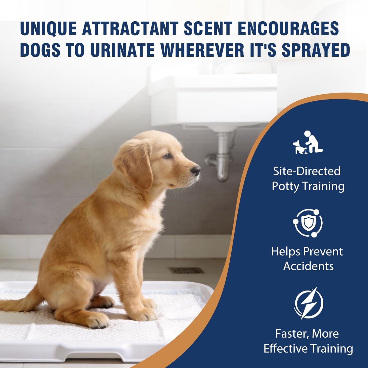 Potty Training Spray for Dogs, Go Here Dog Potty Training Spray & Dog Pee Spray, Puppy Potty Training Aid for Housebreaking, Natural Indoor & Outdoor Use, 5.07 Fl OZ - Image 2