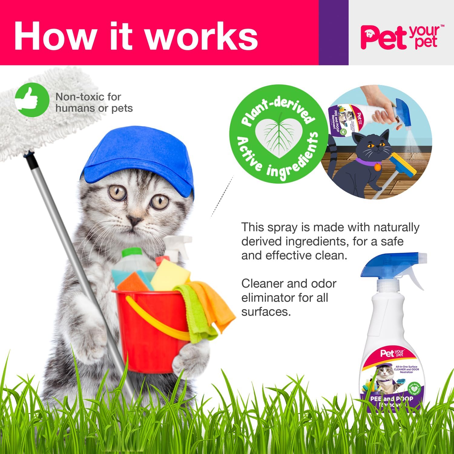 Cat Pee and Poop Remover 16 fl Oz – All-in-One Pet Stain and Odor Remover with Plant-Derived Ingredients – Stain and Odor Removers for Upholstery, Carpets & Hard Floors - Image 7