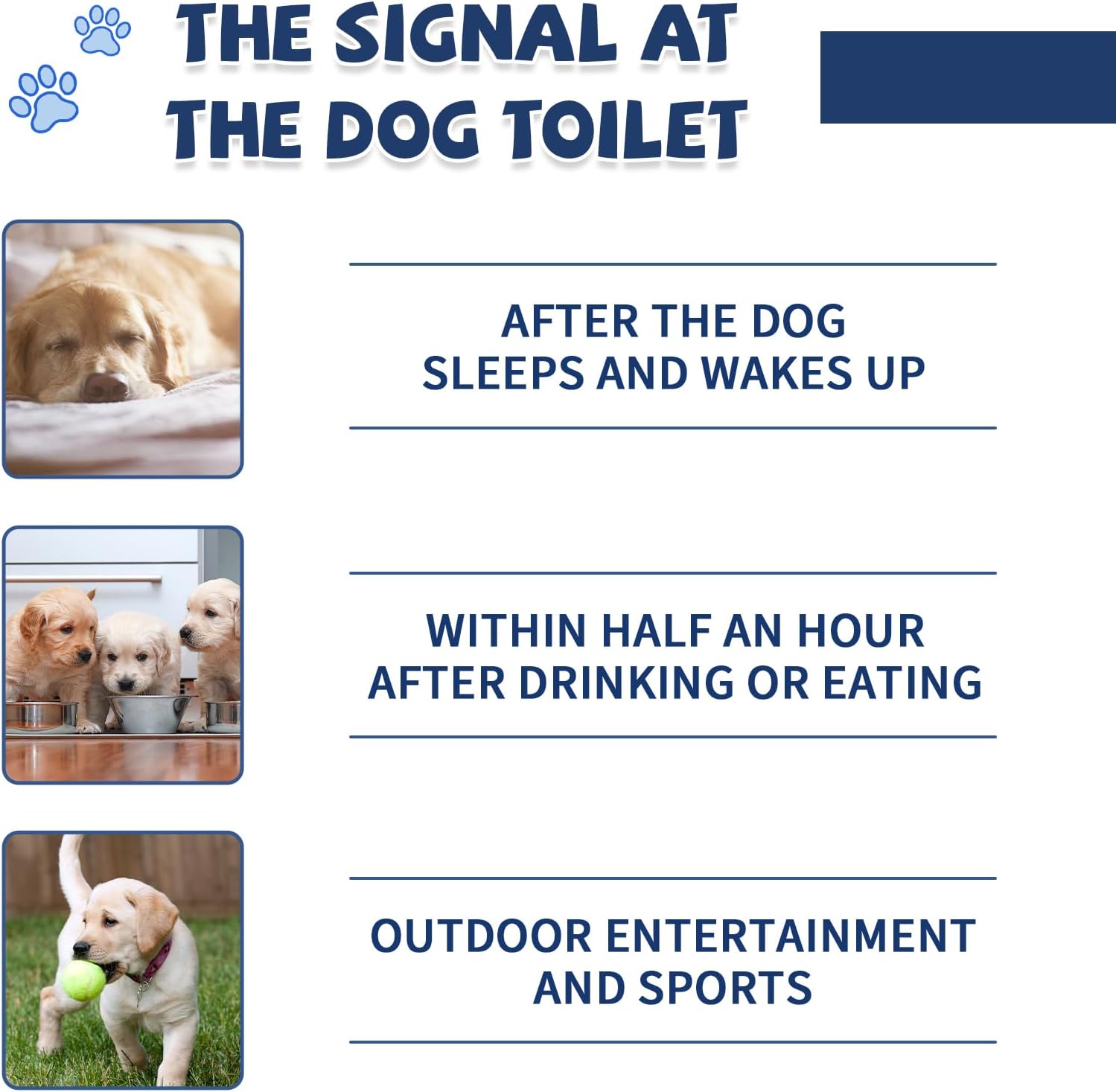 Potty Training Spray for Dogs and Puppies, Housebreaking Attractant Aid for Pee Pads, Artificial Turf, Indoor and Outdoor Potty Areas, (3.51 Fl Oz) - Image 7