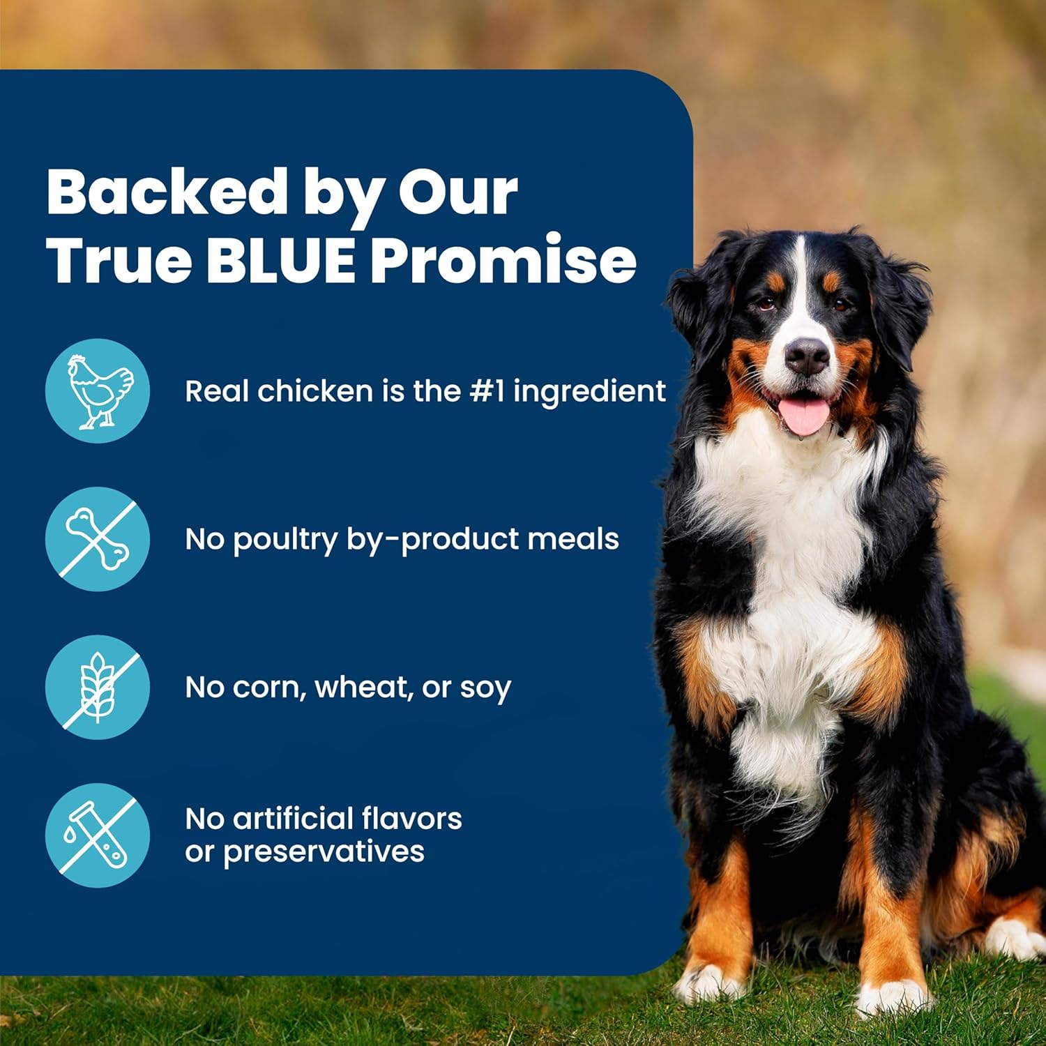 Blue Buffalo Life Protection Formula Chicken & Brown Rice Adult Dry Dog Food, Supports Immunity with Antioxidant-Rich LifeSource Bits, Promotes Healthy Muscle Development, Skin & Coat Health, 5 lbs. - Image 7