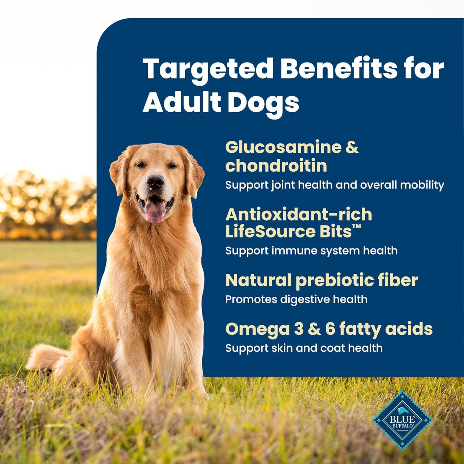 Blue Buffalo Life Protection Formula Chicken & Brown Rice Adult Dry Dog Food, Supports Immunity with Antioxidant-Rich LifeSource Bits, Promotes Healthy Muscle Development, Skin & Coat Health, 5 lbs. - Image 3