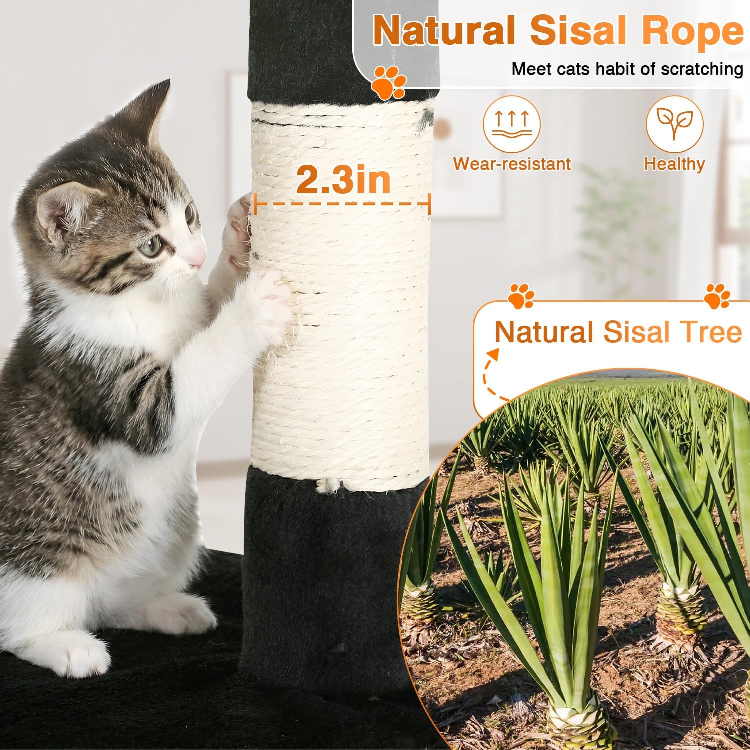FDW | 54" Cat Tree Tower | Dark Gray | Multi-Level Indoor Activity Center with Sisal Scratching Posts, Condos, Plush Perches, Hanging Cat Toys | Sturdy, Easy to Assemble | for Kittens & Adult Cats - Image 3