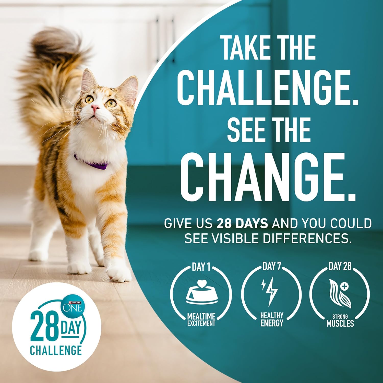 Purina ONE Natural, Low Fat, Weight Control, Indoor Dry Cat Food, +Plus Indoor Advantage - 16 lb. Bag - Image 12