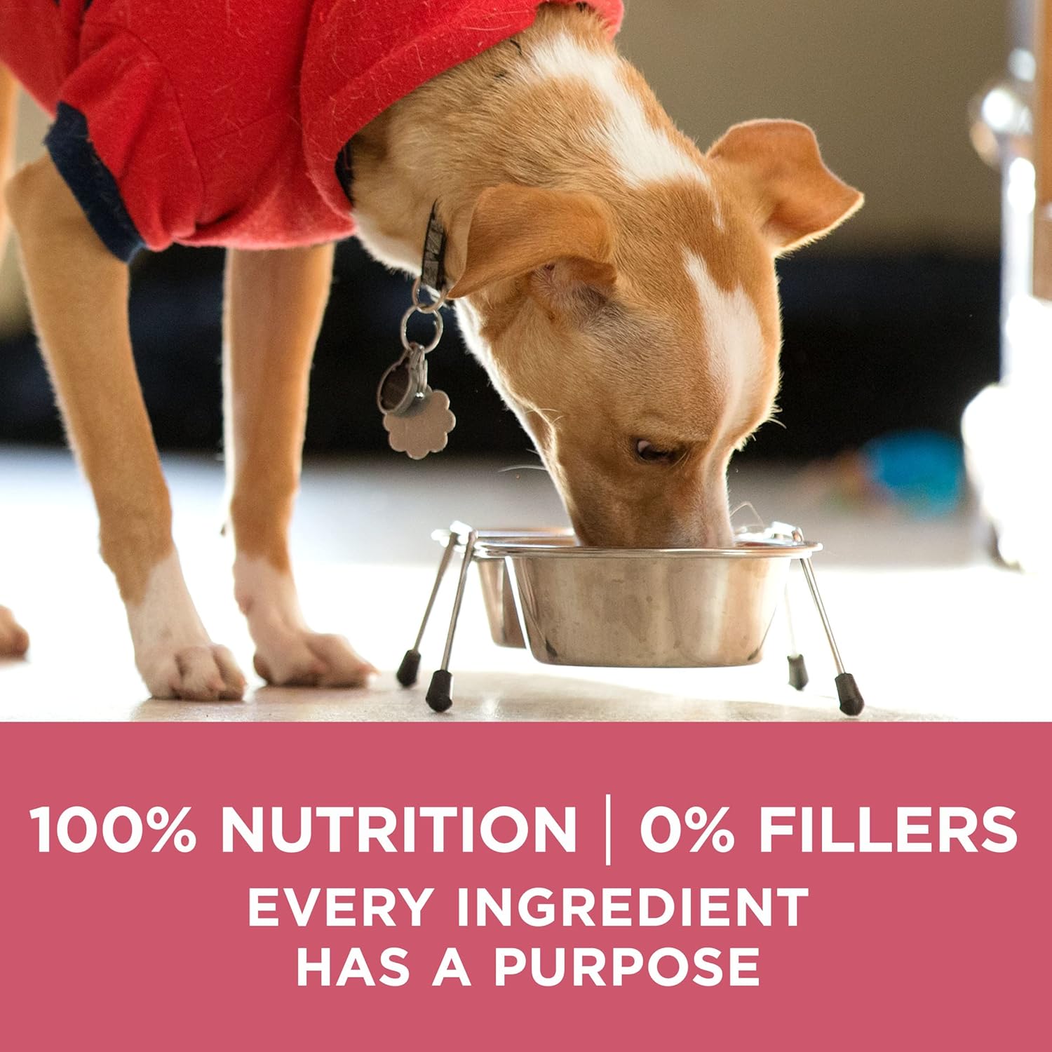 Purina ONE Natural, Sensitive Stomach Dry Dog Food, +Plus Skin & Coat Formula - 31.1 lb. Bag - Image 10