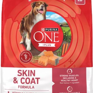 Purina ONE Natural, Sensitive Stomach Dry Dog Food, +Plus Skin & Coat Formula – 31.1 lb. Bag