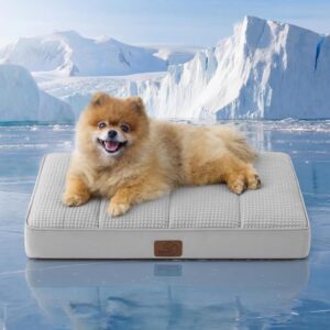 Bedsure Orthopedic Cooling Dog Bed for Small Dogs – 24×16 Inches Comfy Breathable Puppy Beds with Removable Washable Cover, Cold Flat Egg Crate Foam Pet Mat, Suitable for Pet Up to 15 lbs