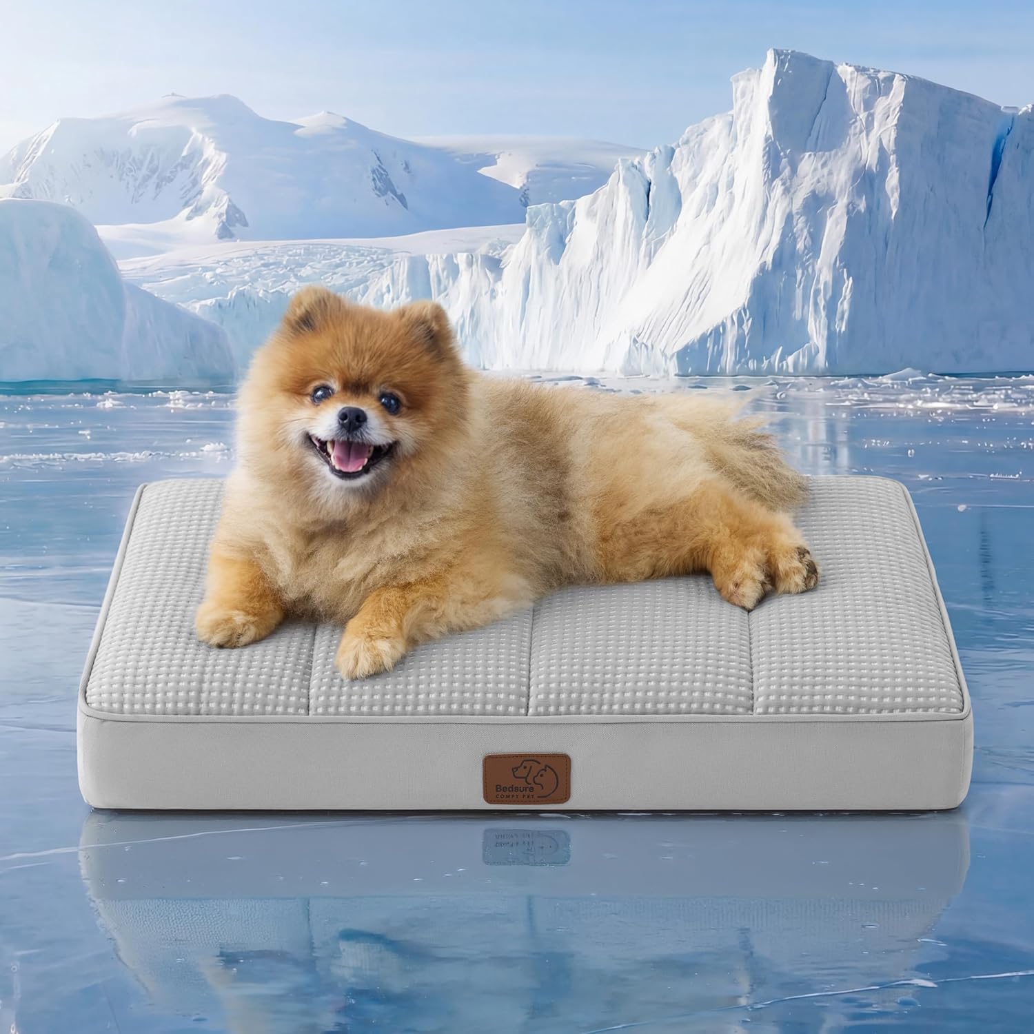 Bedsure Orthopedic Cooling Dog Bed for Small Dogs - 24x16 Inches Comfy Breathable Puppy Beds with Removable Washable Cover, Cold Flat Egg Crate Foam Pet Mat, Suitable for Pet Up to 15 lbs
