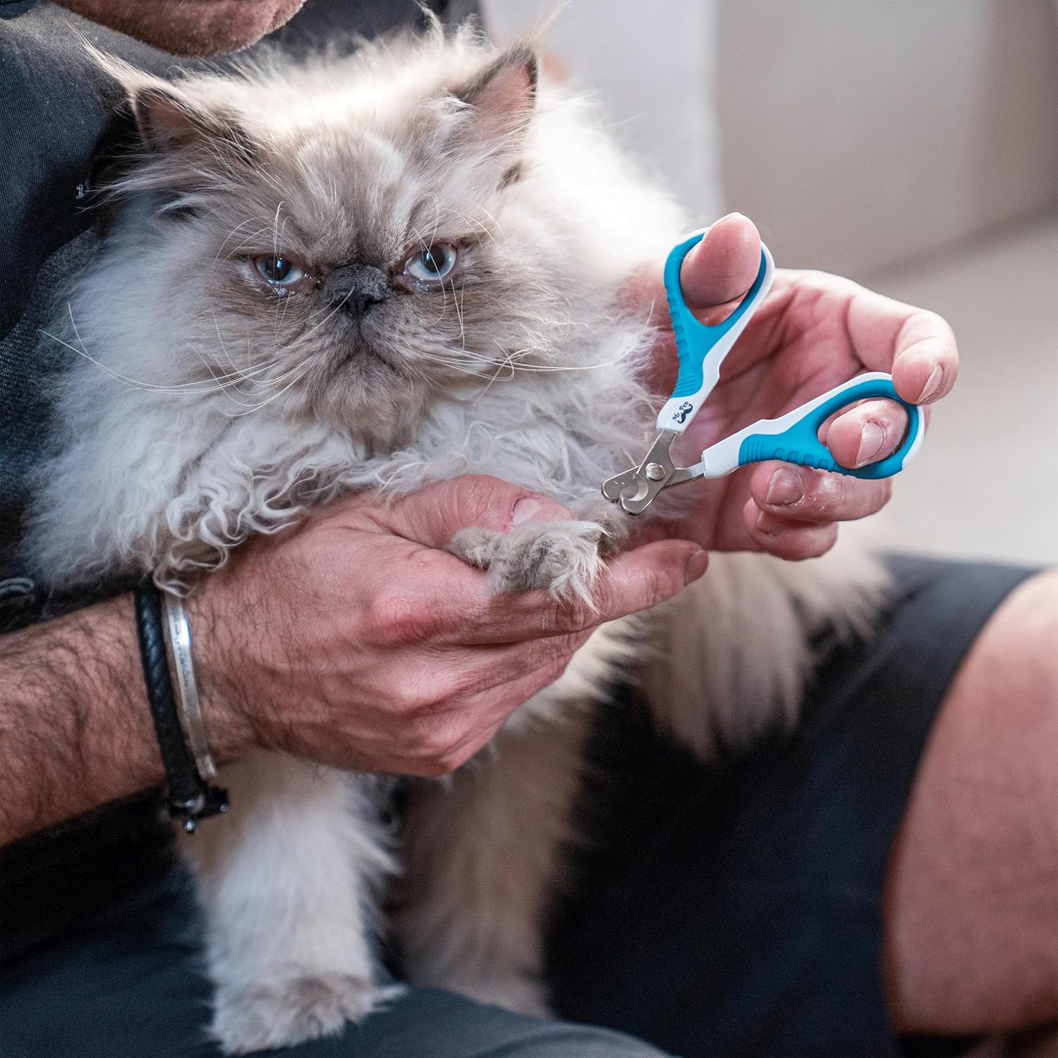 Mr. Pen- Cat Nail Clipper, Stainless Steel, Professional Sharp Cat Claw Trimmer for Small and Medium Cats, Pet Nail Clipper with Sturdy Non Slip Handle - Image 4