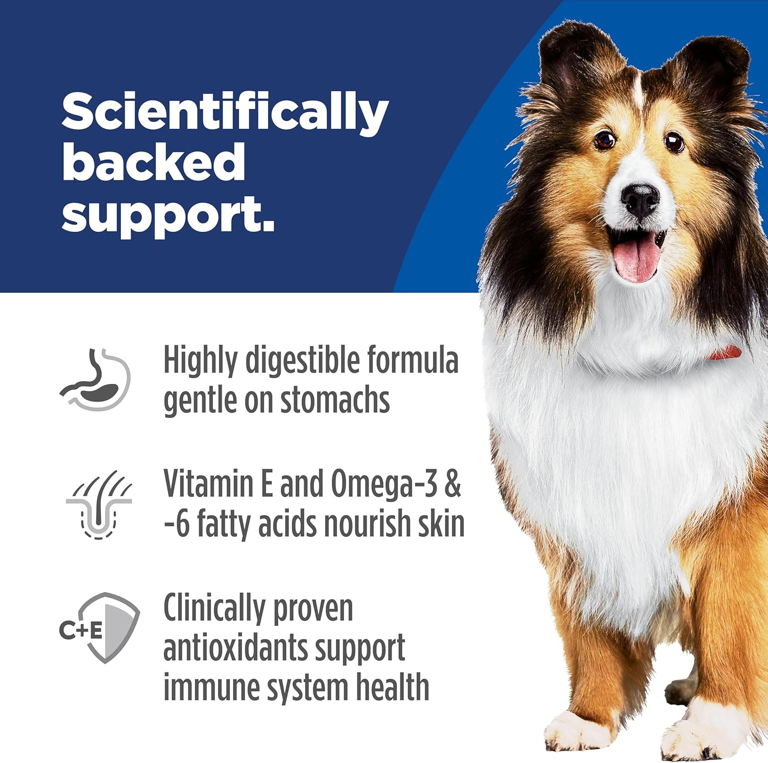 Hill's Science Diet Adult Sensitive Stomach & Skin Dry Dog Food, Chicken, 30 lb. Bag - Image 5