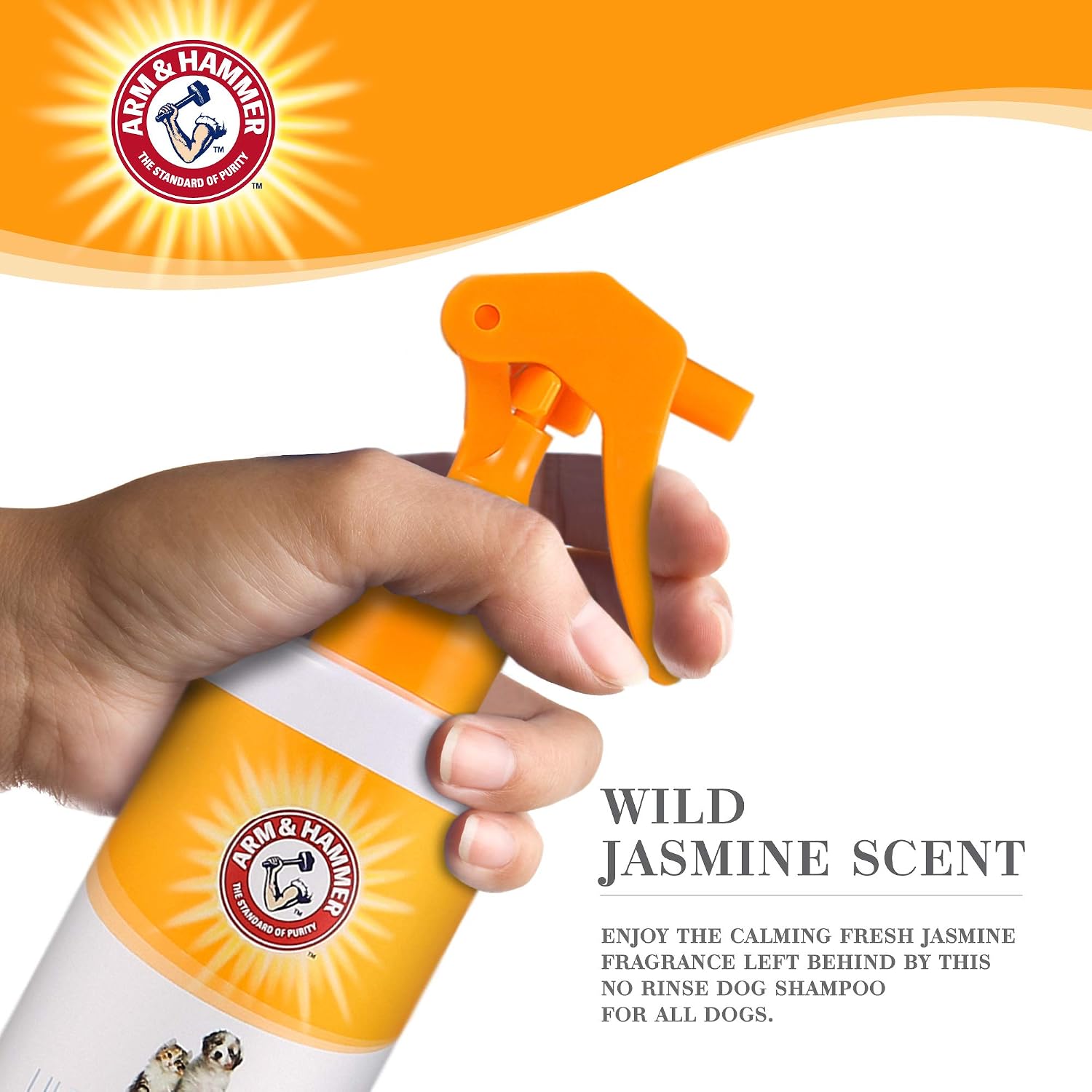 71dLKNp5ML. AC SL1500 .jpg