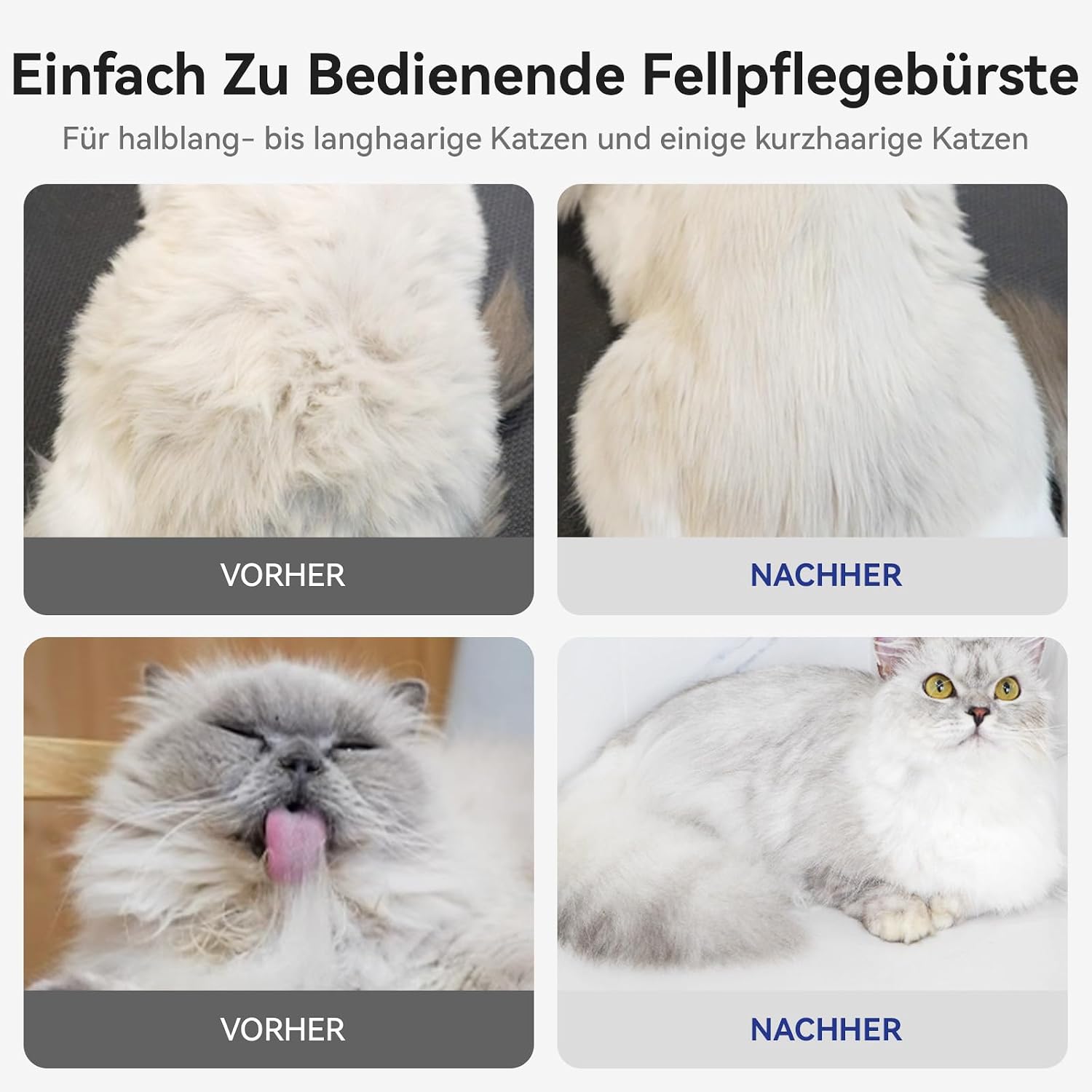 71zrEcHSrfL. SL1500 .jpg
