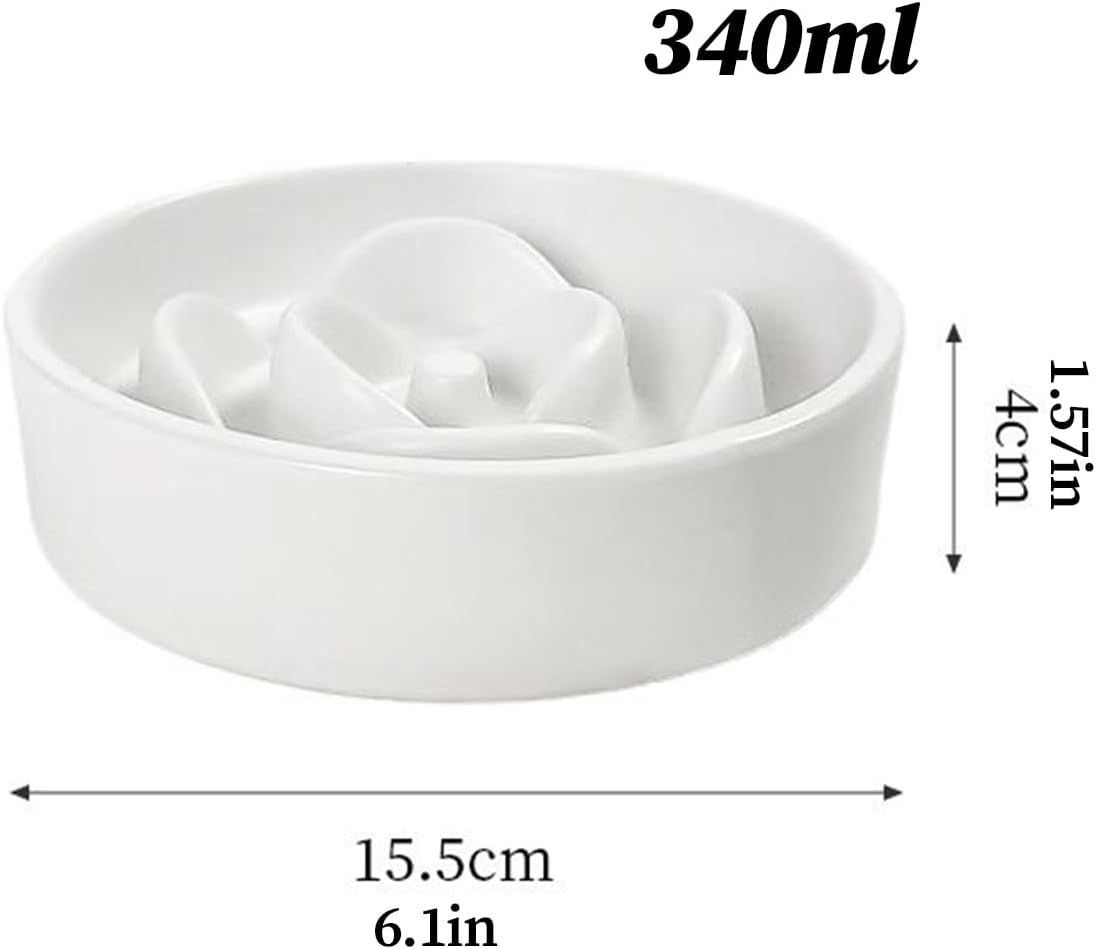 51Eispm6xAL. AC SL1500 .jpg