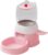 Automatischer Haustierfeeder – Press Design Cat Food Bowl | Pets Spender für den Innen- und Heimkäfig, Smart Pet Feeder mit Timed Feeding Feature, Dog Food Bowl, Pets Feeding Dispenser für Patio