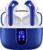 Bluetooth Earphones