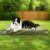 Sytopia 36 Inch Canvas Outdoor Dog Bed for Large Dogs, Durable Dog Bed with Waterproof Machine Washable Removable Cover, Indoor Patio Pet Pad for Crate, Green